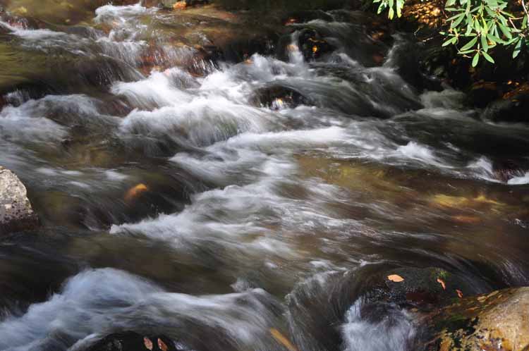 stream